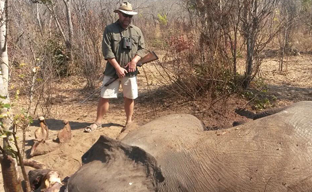 Victoria Falls Anti Poaching Unit Anti Poaching - Scout Interview ...